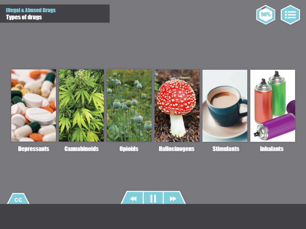 Designing Digitally - An infographic listing types of drugs: Depressants, Cannabinoids, Opioids, Hallucinogens, Stimulants, and Inhalants, each represented by relevant images—perfect for a Drug & Alcohol Training Program. Designing Digitally -