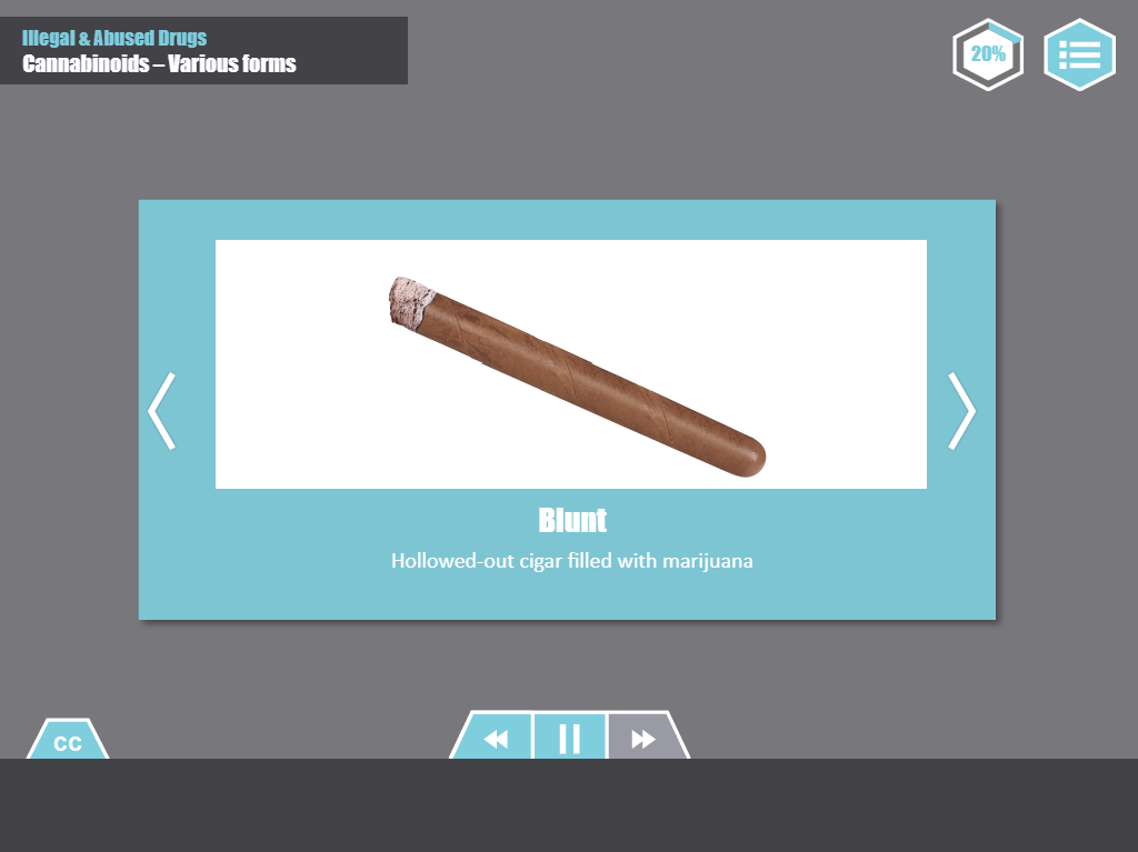 Designing Digitally - A visual display titled "Blunt" showing a hollowed-out cigar filled with marijuana is included in the Drug & Alcohol Training Program's slide presentation on "Illegal & Abused Drugs - Cannabinoids – Various forms. Designing Digitally -