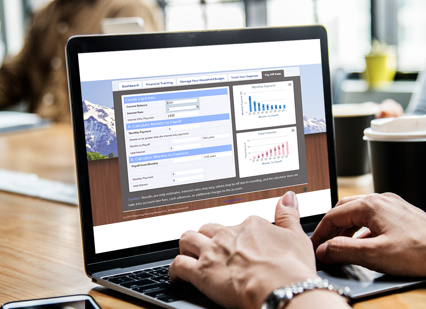 Designing Digitally - Person using a laptop displaying financial management software with simulations and account balances visible on the screen. Designing Digitally -