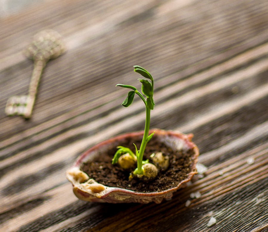 Photo "5 Steps to Creating Scalable Training Programs for Growing Organizations"