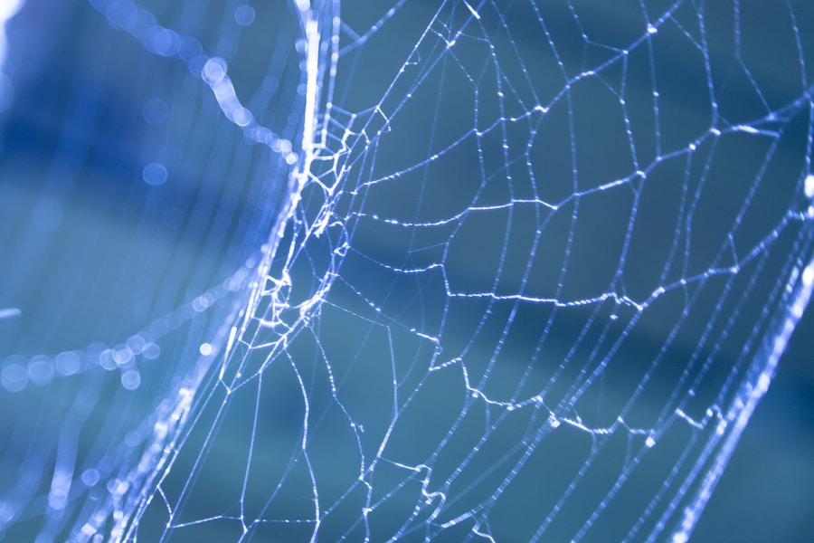 Photo "Web Portals for Centralized Learning Management and Data-Driven Decision-Making"