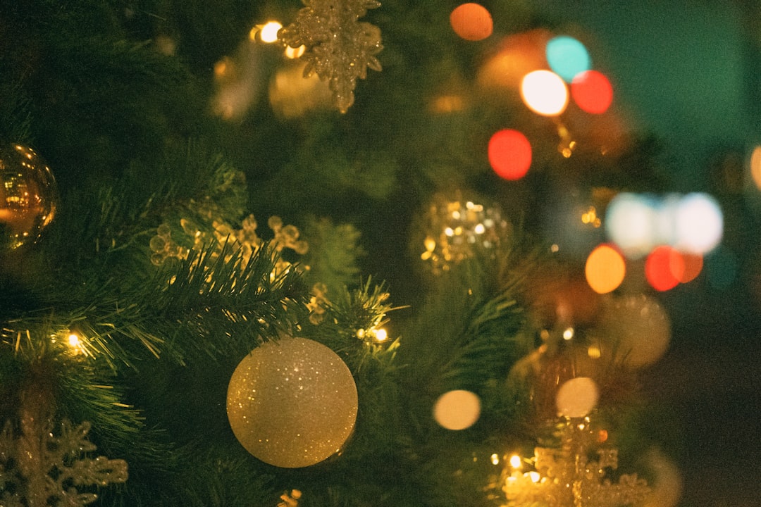 Photo Engaging Illustrations