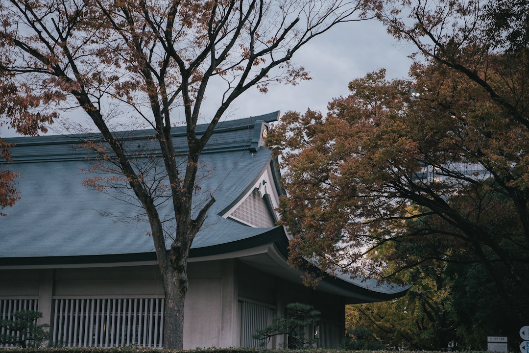 Photo Culture Transformation